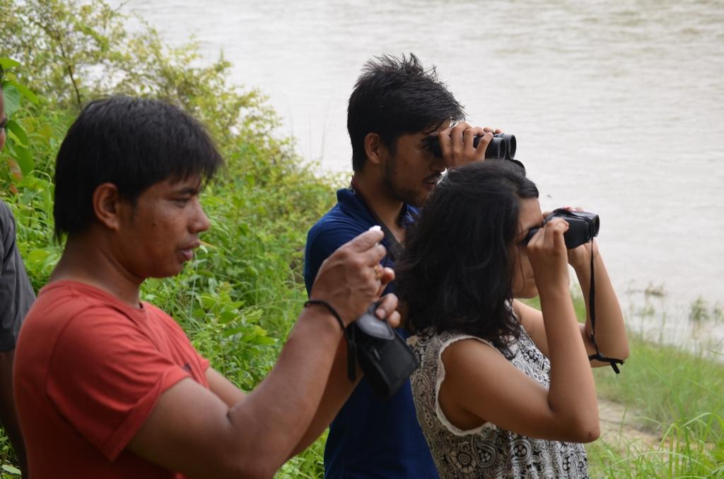 Bird-watching In The Community Forest