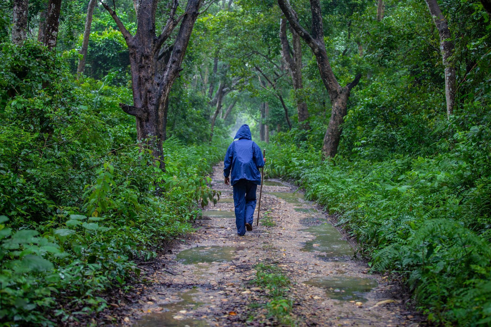 Jungle Walk In The Community Forest, Bardiya