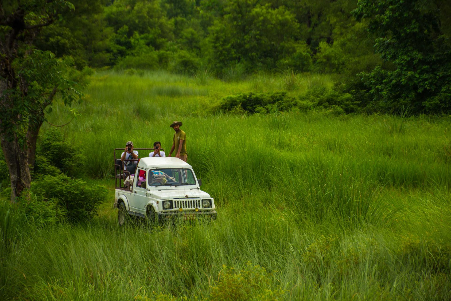 Jeep Safari at Bardiya National Park