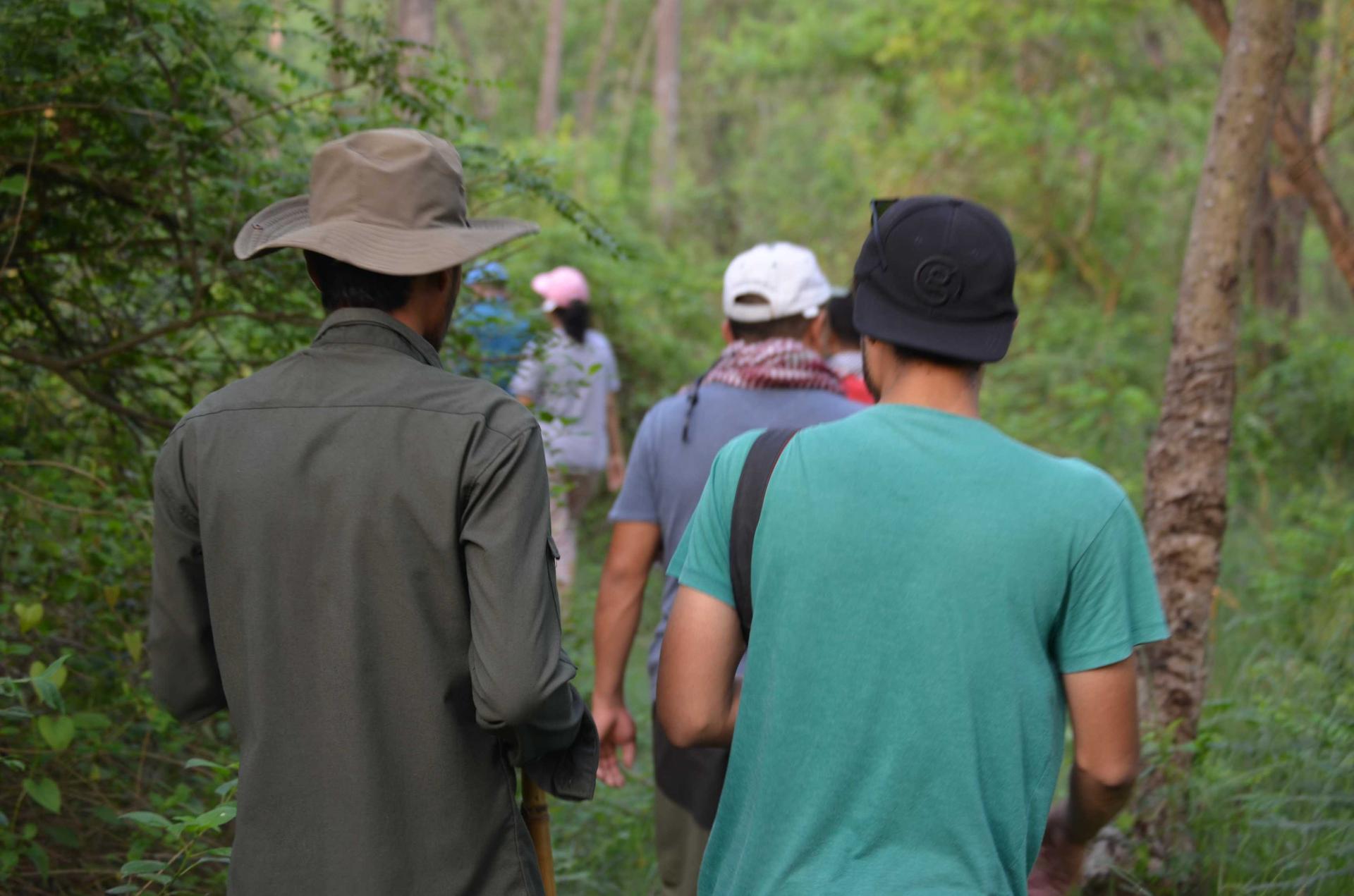 Jungle Walk In The Community Forest, Bardiya