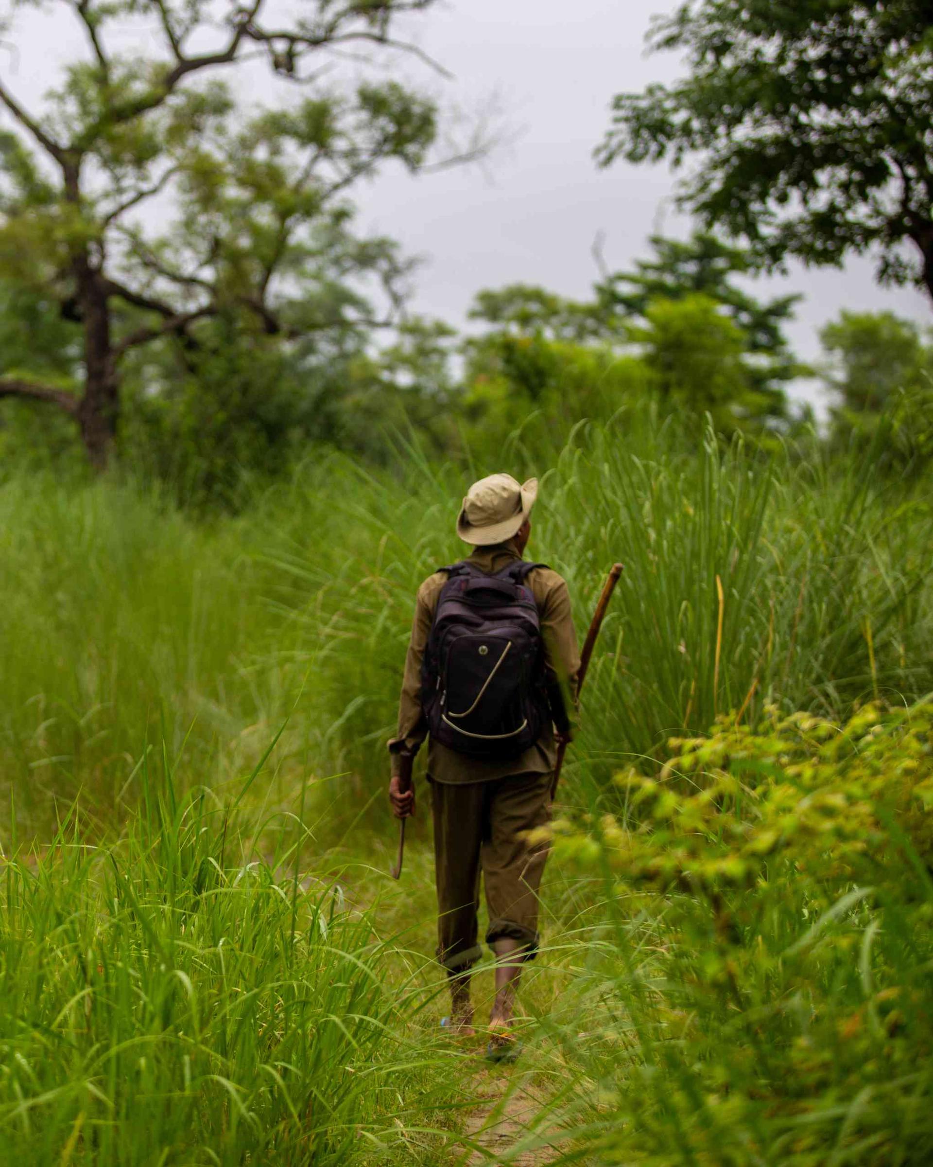 Jungle Walk In The Community Forest, Bardiya
