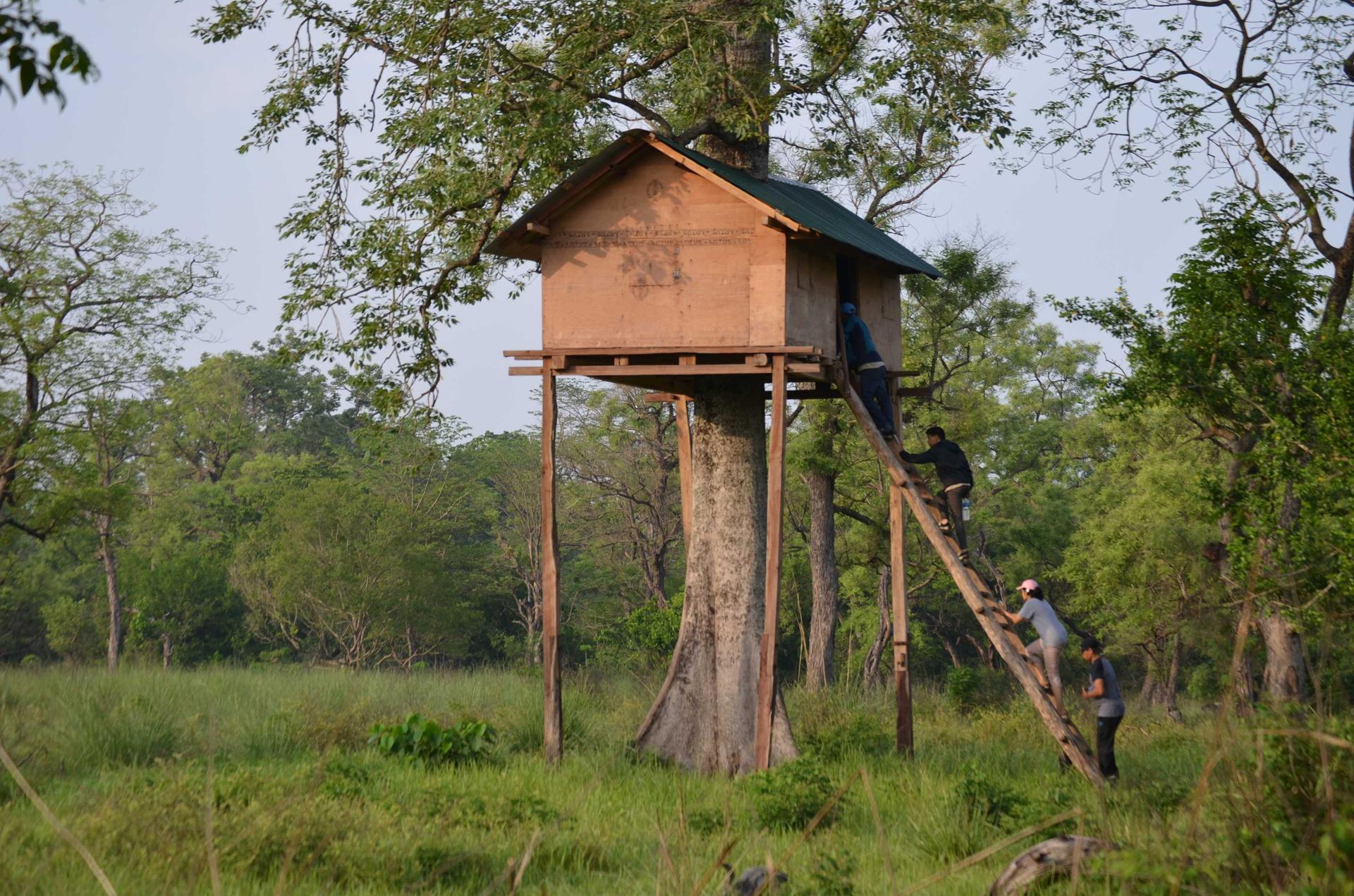 Jungle Walk In The Community Forest, Bardiya
