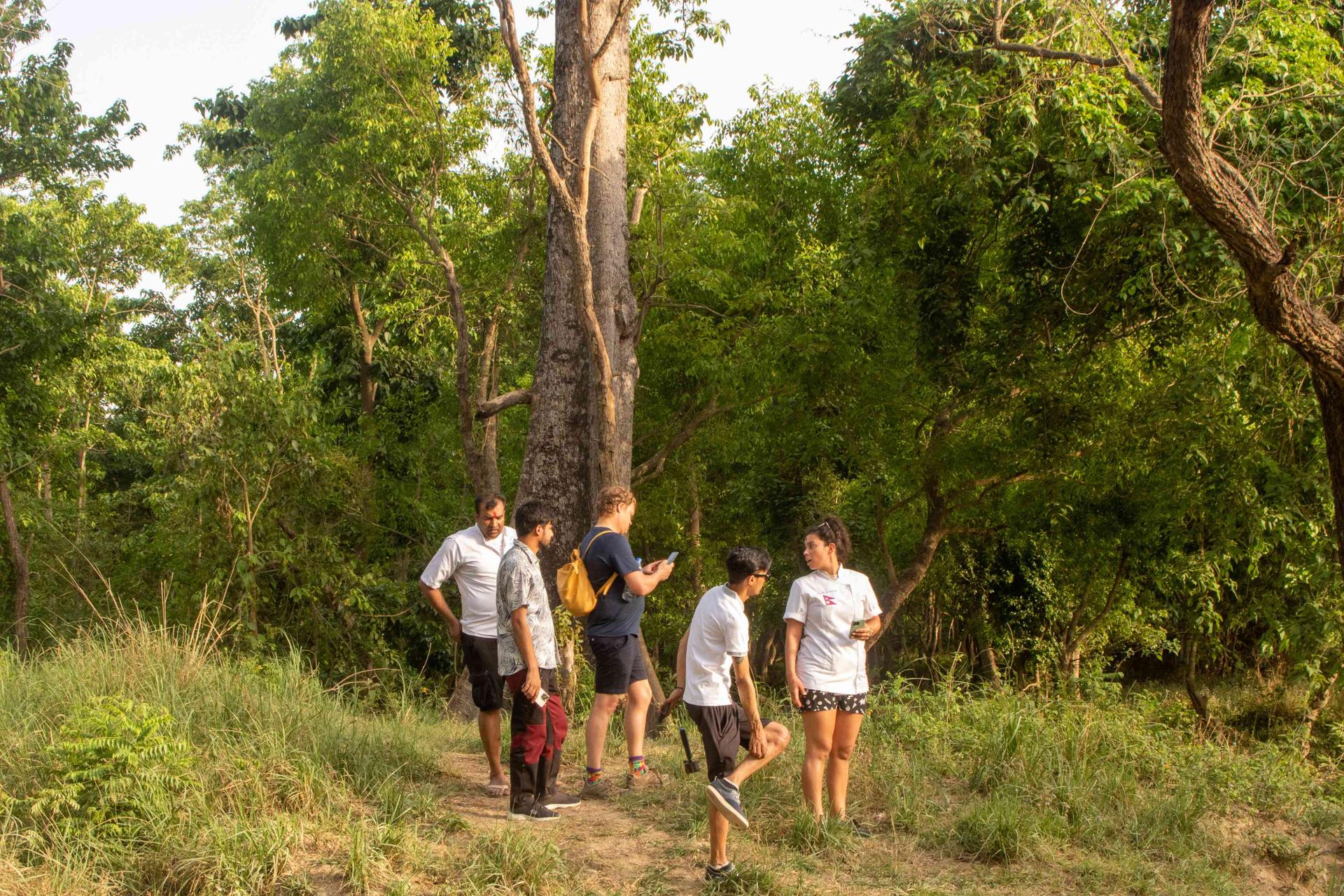 Jungle Walk In The Community Forest, Bardiya