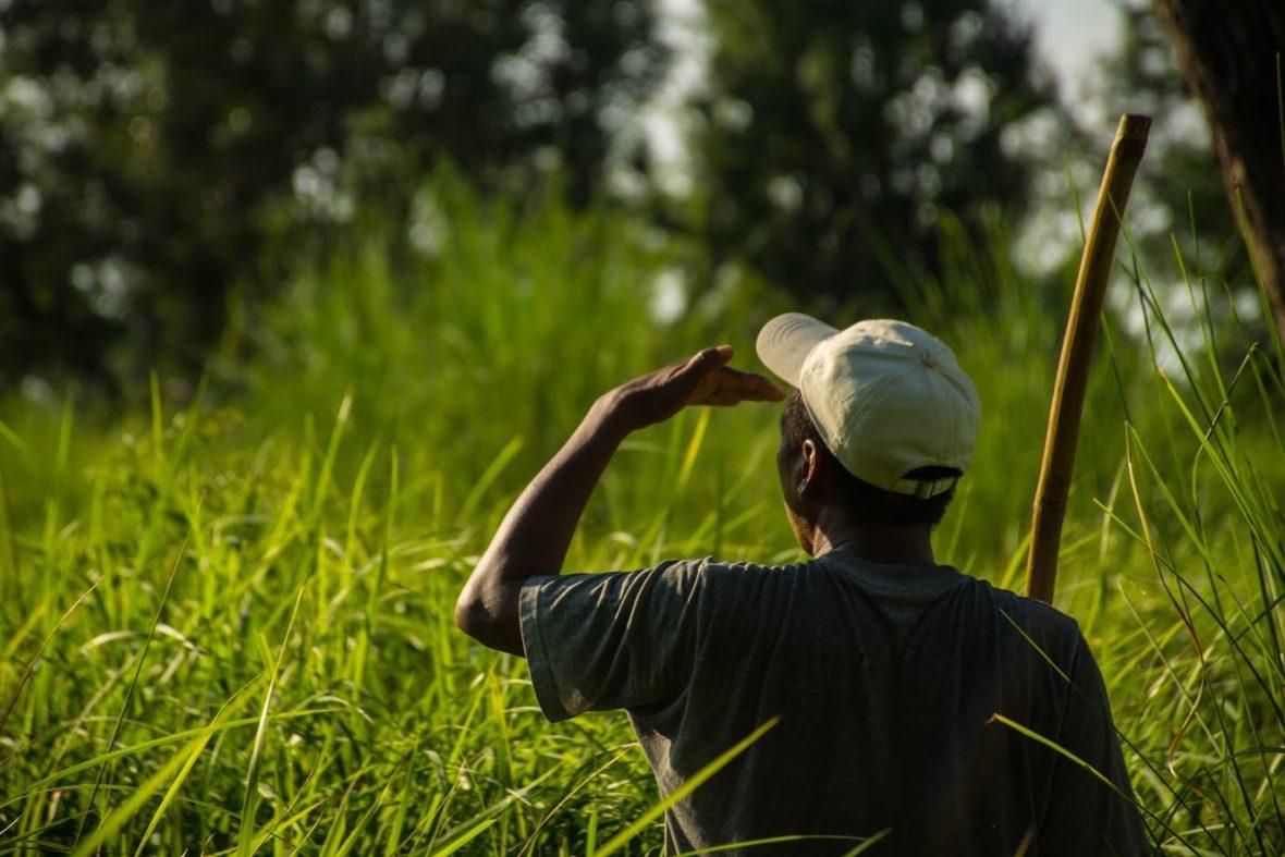 Exploring the Symbiotic Relationship Between Tharu Communities and Nature in Bardiya