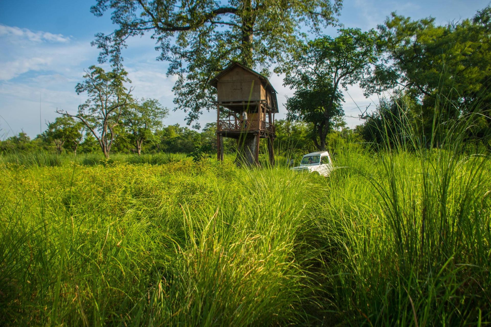 Night stay at Machhan, Bardiya