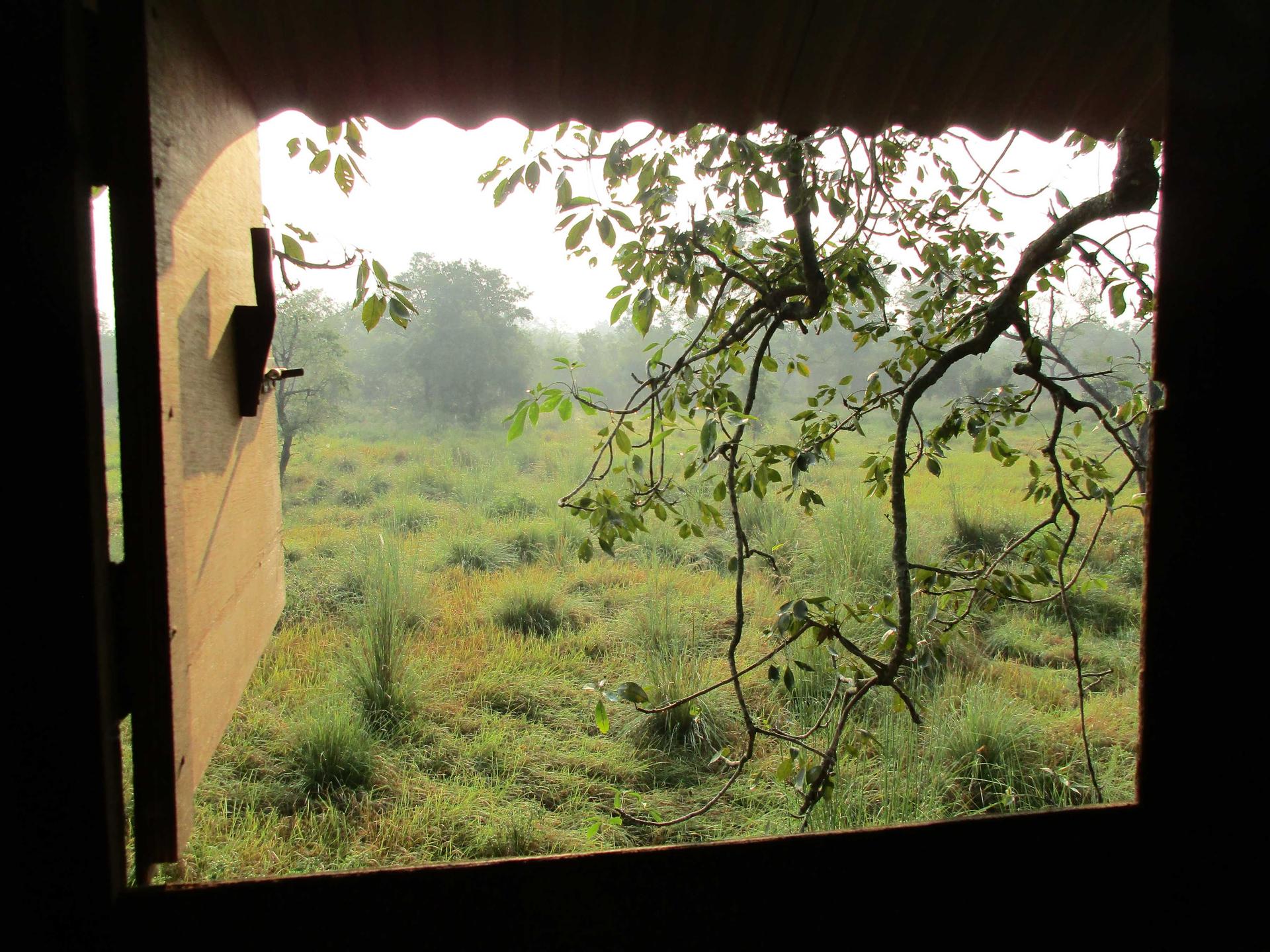 Night stay at Machhan, Bardiya