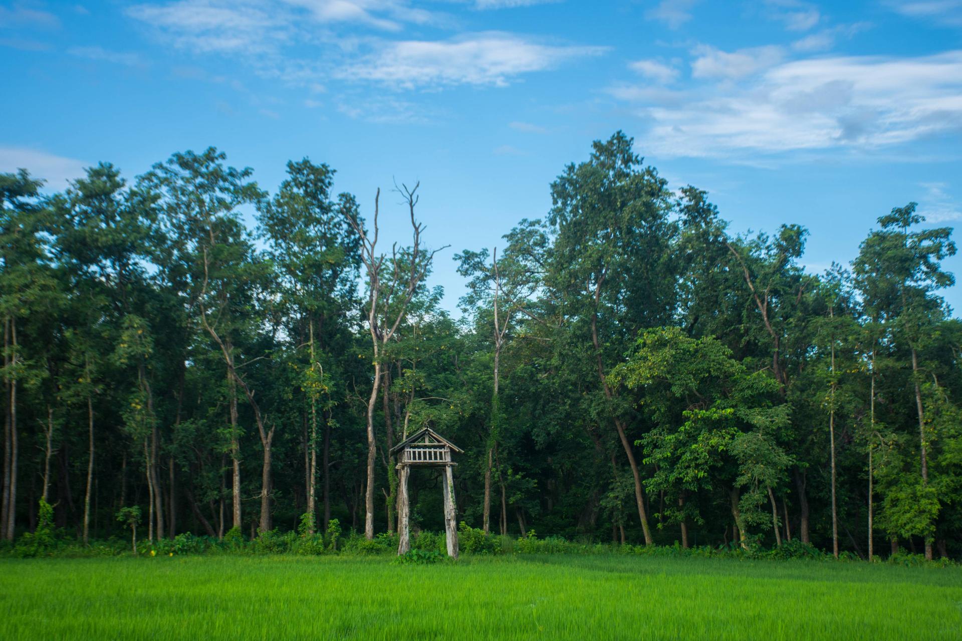 Night stay at Machhan, Bardiya