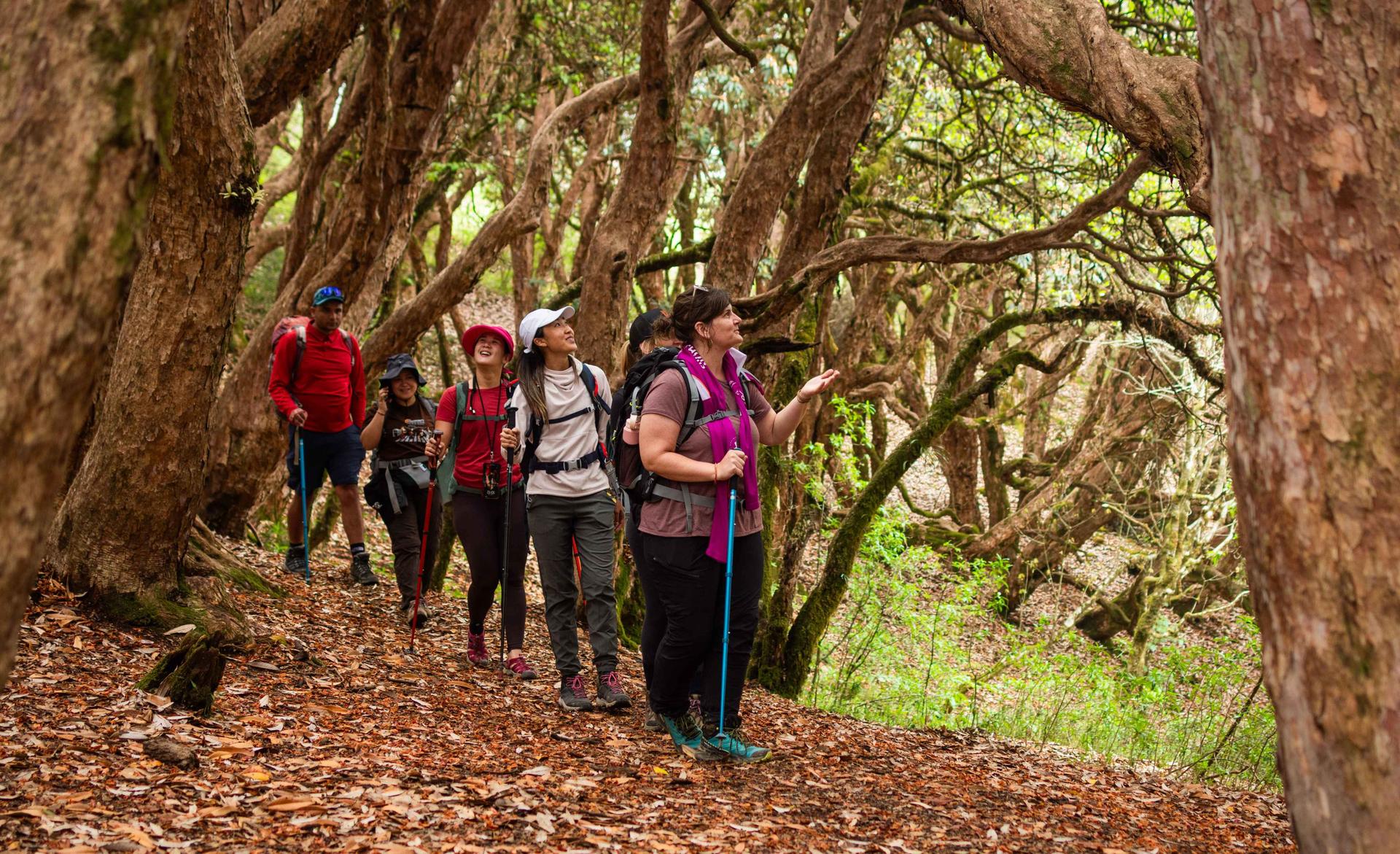 Annapurna Community Trek (8N/9D)