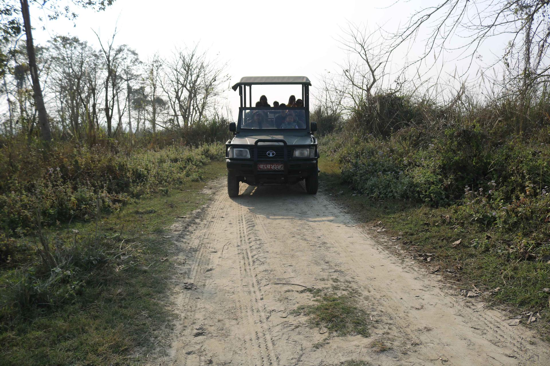 Jeep Safari in Chitwan National Park