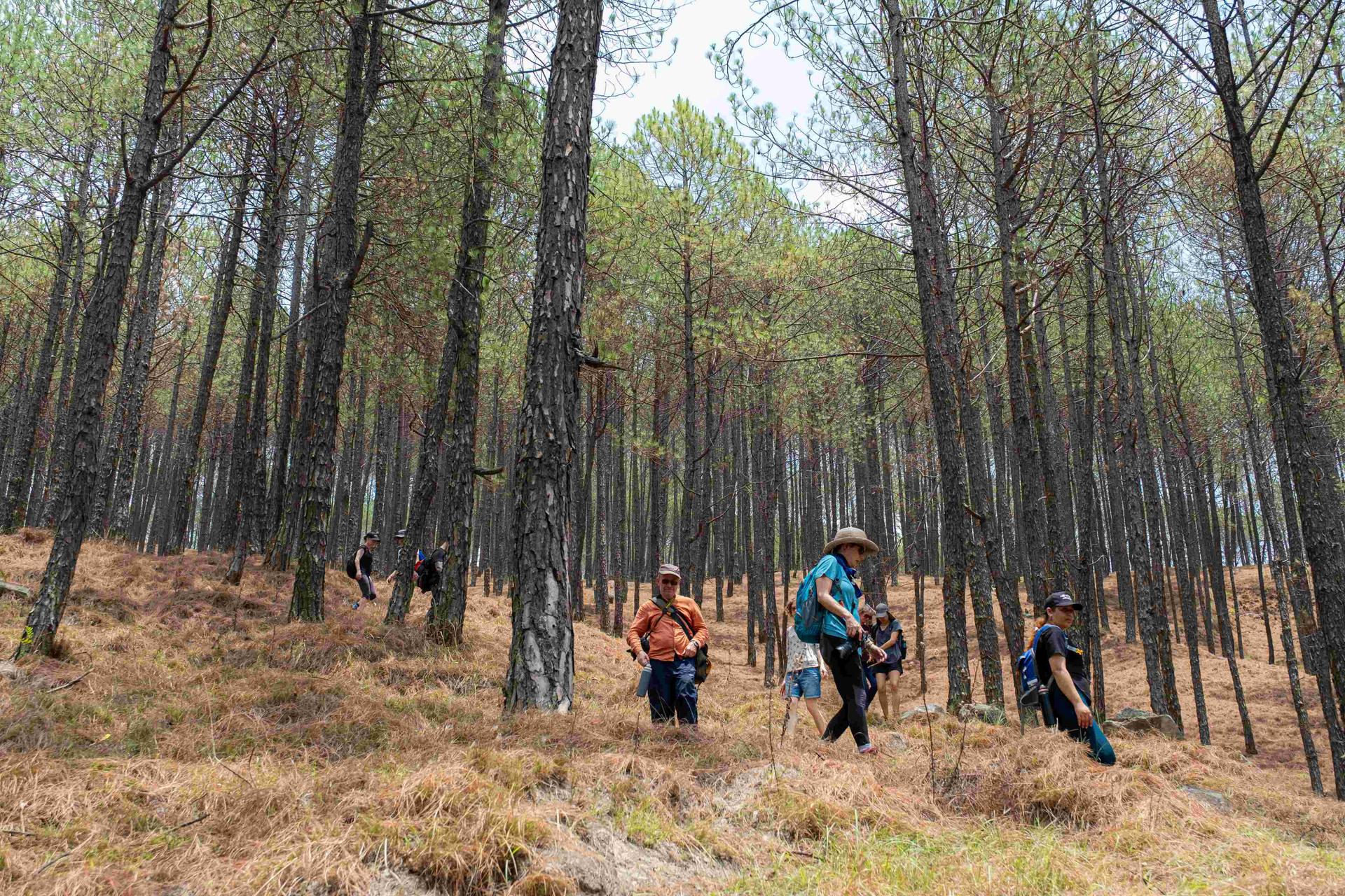 Changunarayan Hike From Nagarkot