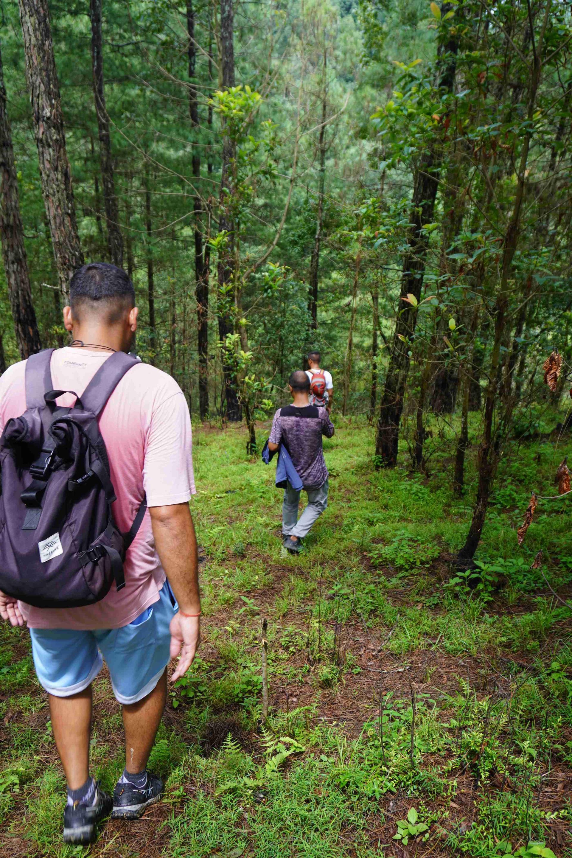 Scenic Community Hike