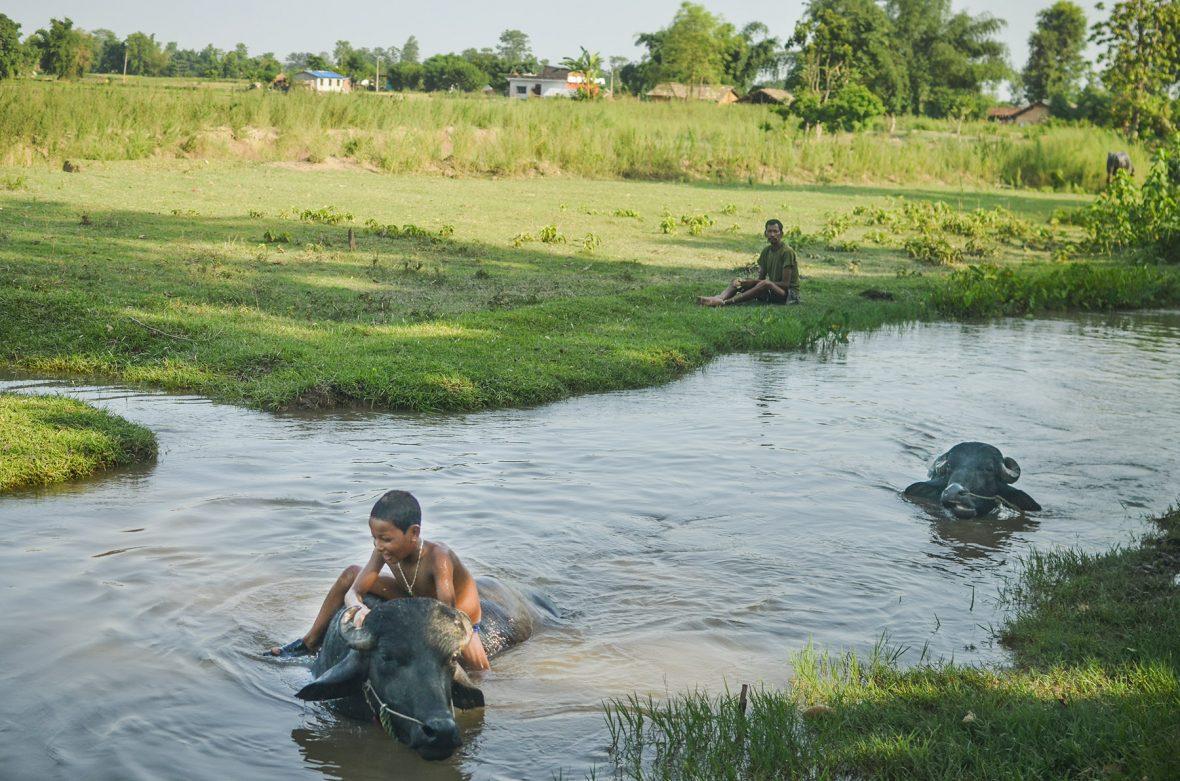 Diary Of A Visit To Bardiya Community Homestay