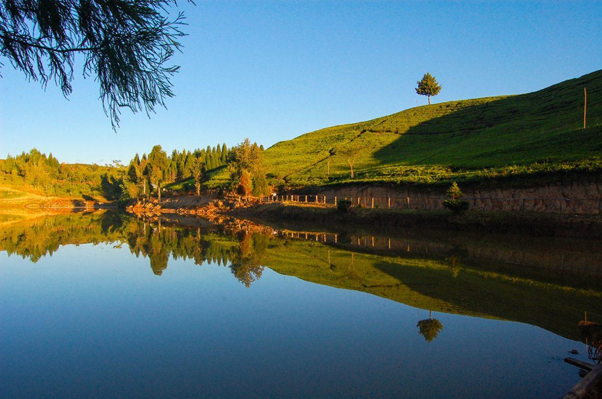 Authentic Beauty In A Tea Pot; Ilam Community Homestay