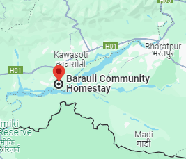 Barauli