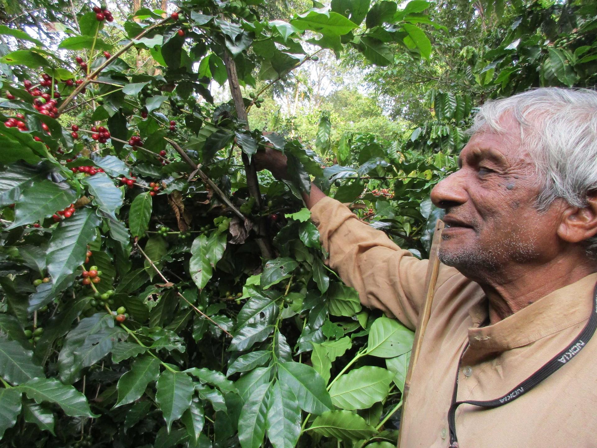 Tansen Tour to Organic Coffee Farm