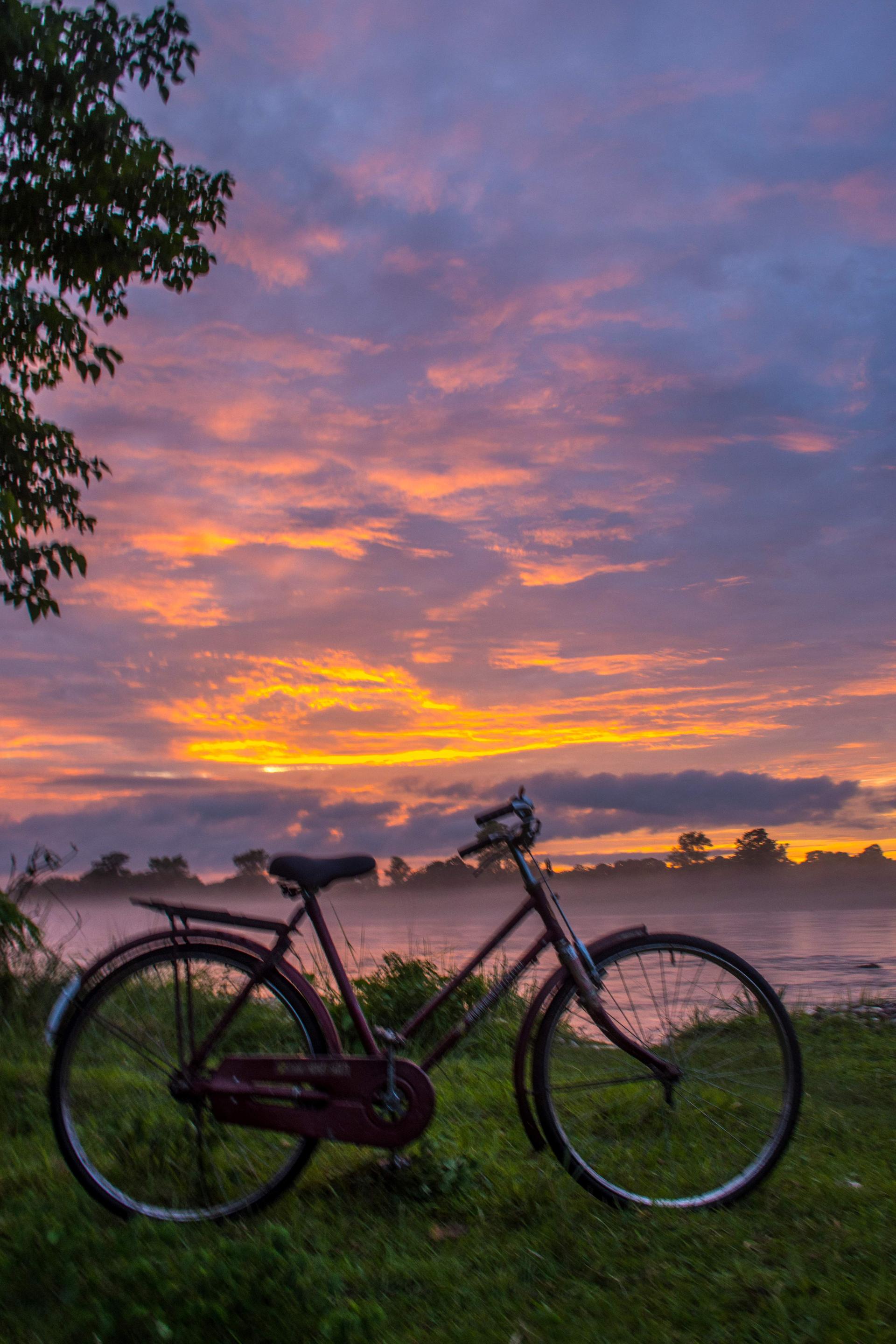 Exploring The Wilderness Of Bardiya