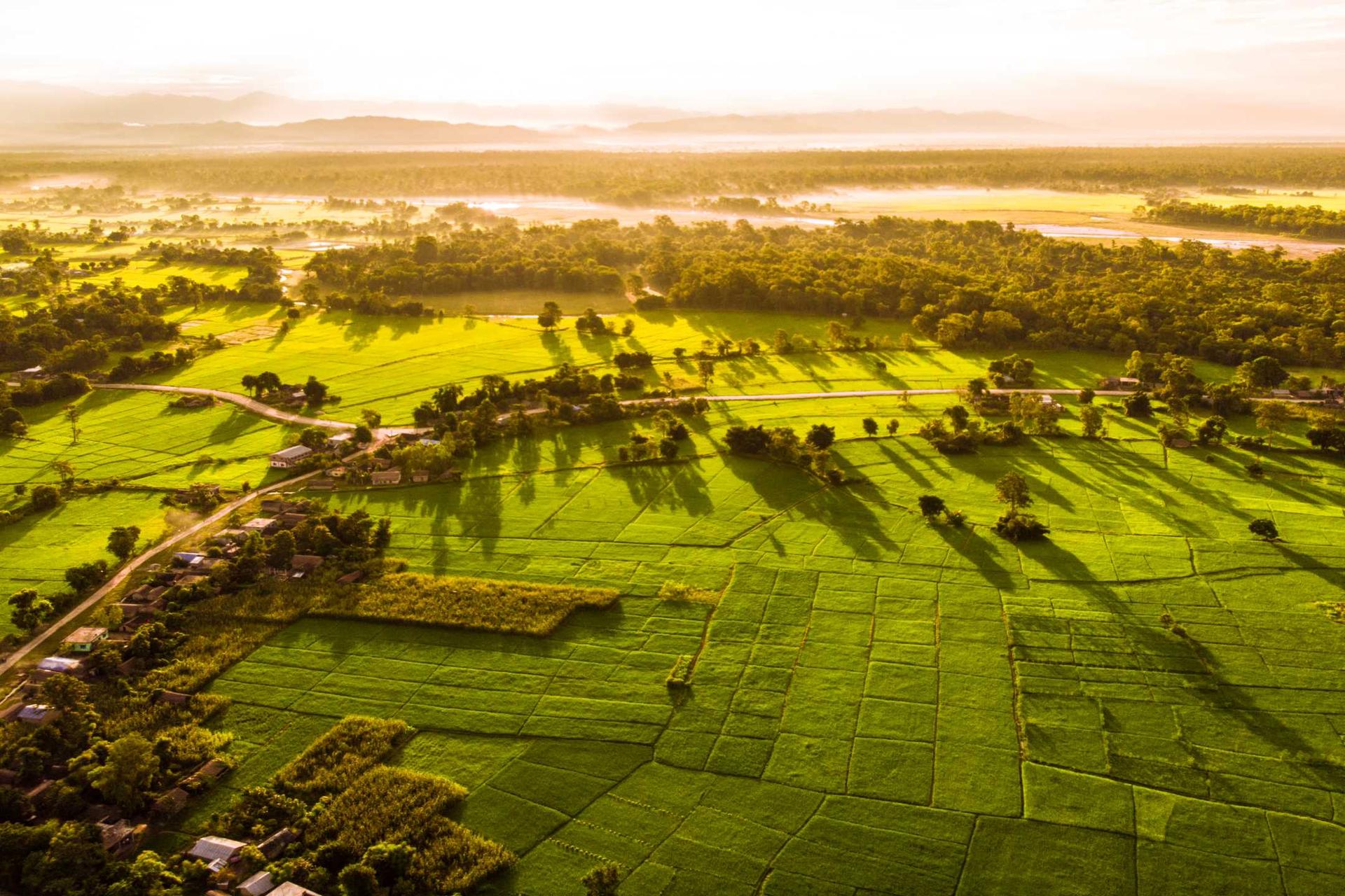 Exploring The Wilderness Of Bardiya