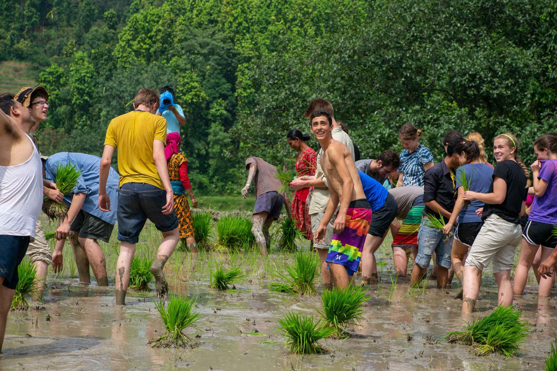 Ropain Festival At Kirtipur