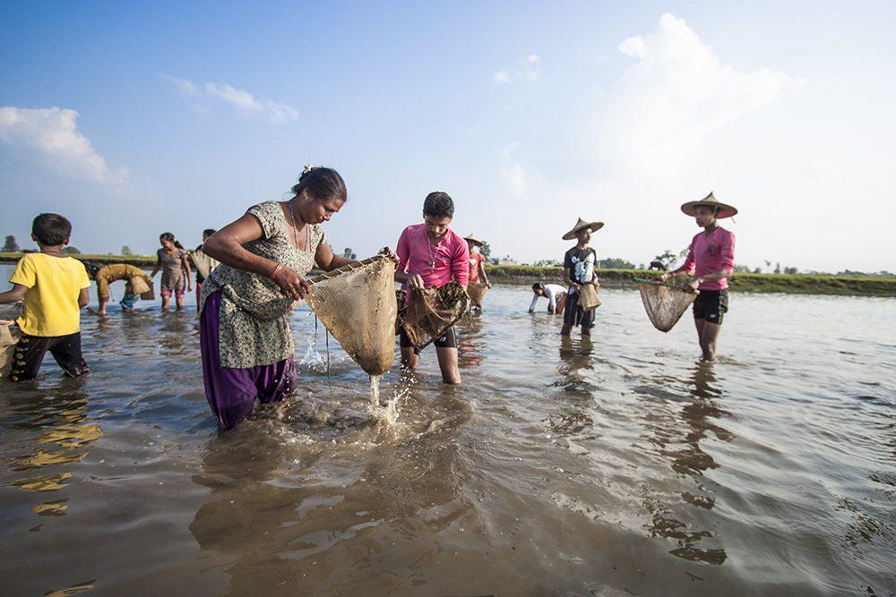 Beyond Chitwan: Exploring The Tharu Culture