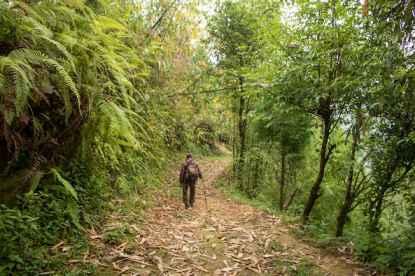 The Red Panda Trail