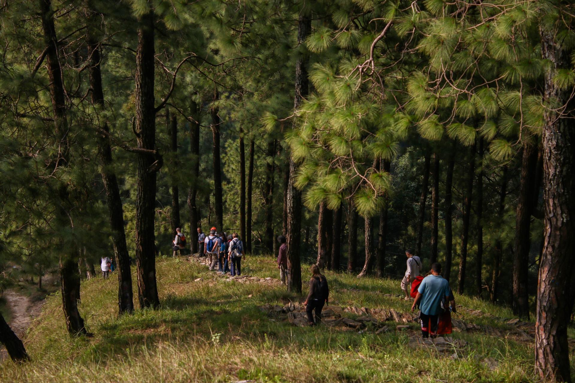 Changunarayan Hike From Nagarkot