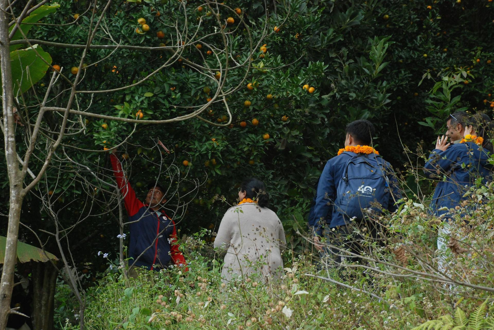 Dhankuta Community Homestay, Sipting