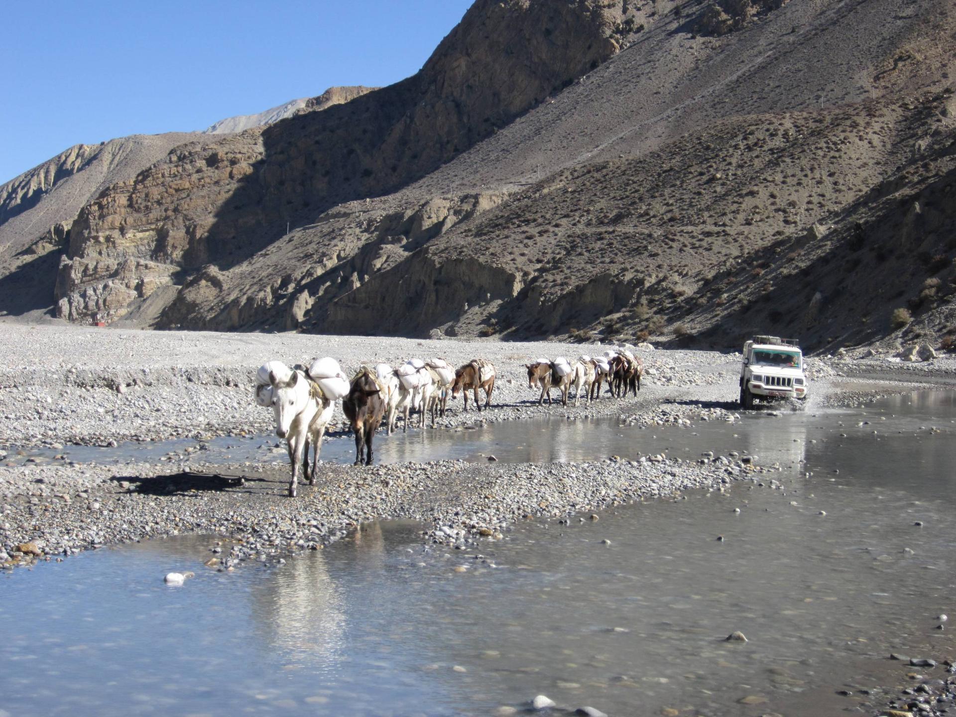 Lubra Bon Community Homestay, Mustang