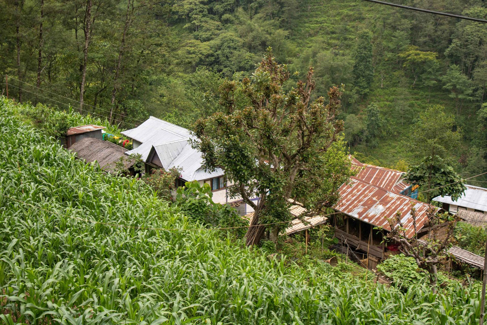 Phalelung Community Homestay