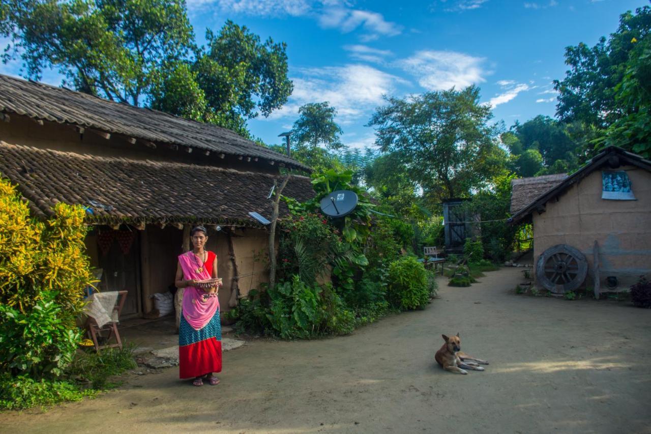 Immersing in Nature and Culture: 5 Homestays for Wildlife Enthusiasts in Nepal