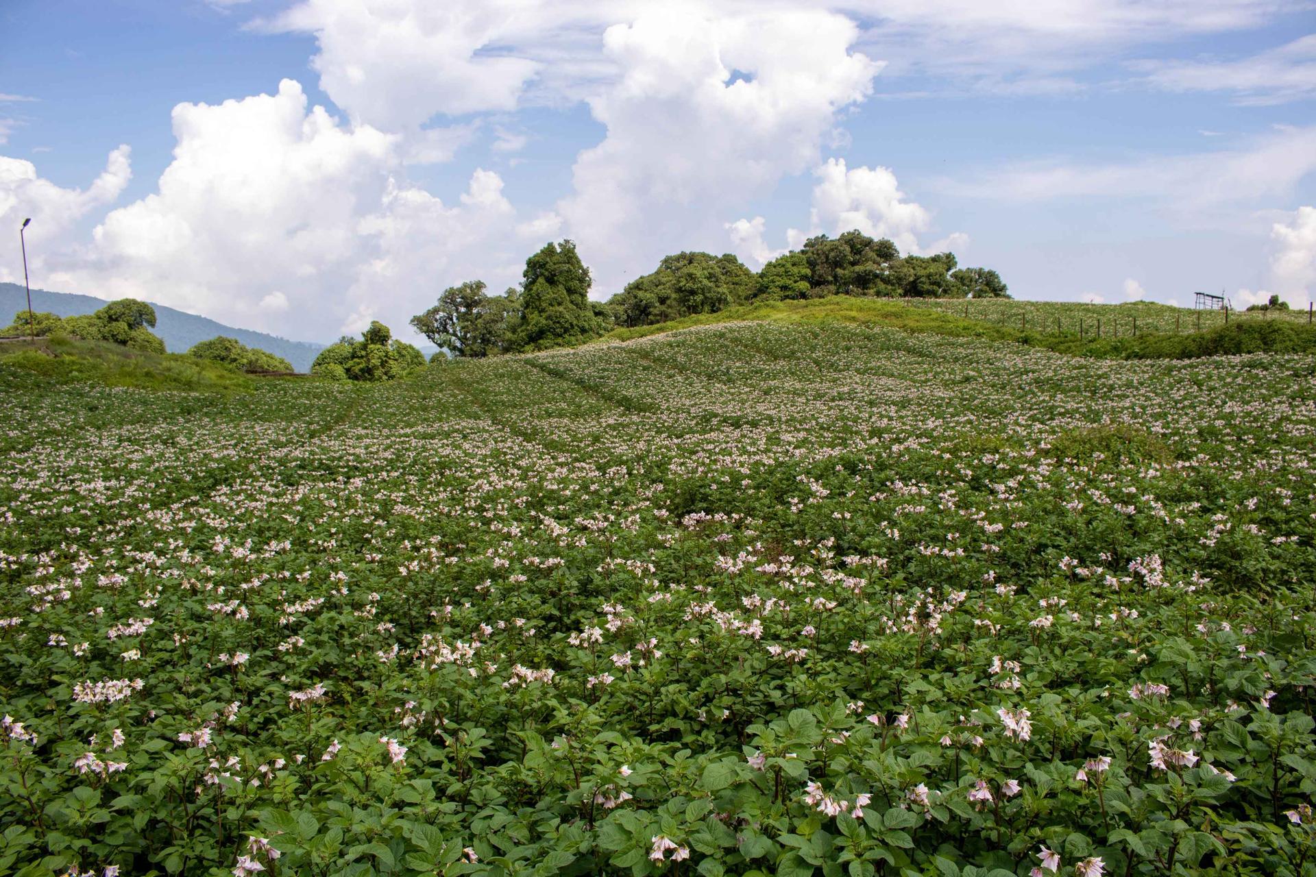 Shree Jamuna Engla Community Homestay